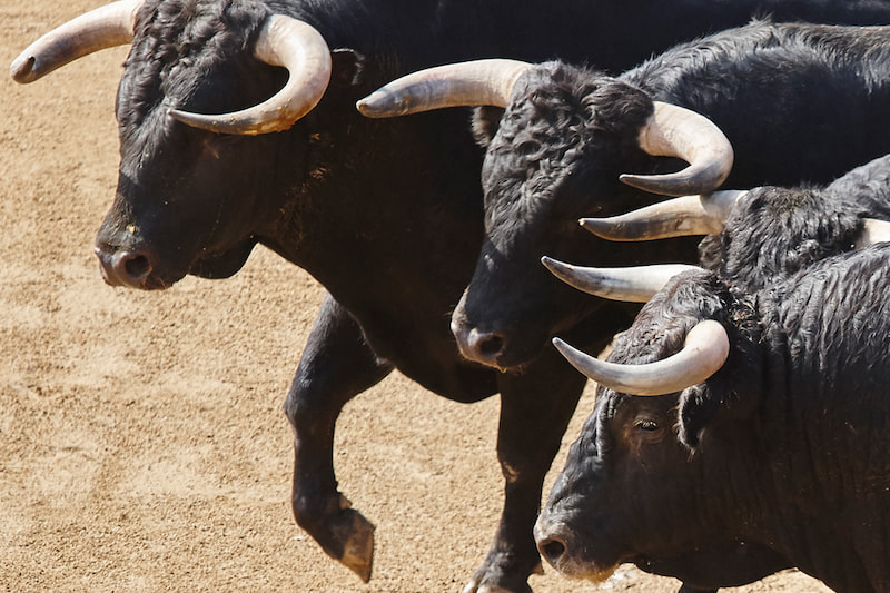 visitar ganaderías de toro bravo en Extremadura